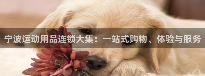 征途国际平台注册流程图：宁波运动用品连锁大集：一站式