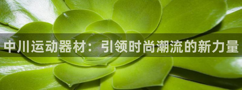 征途国际娱乐是那个系列的台子：中川运动器材：引领时尚