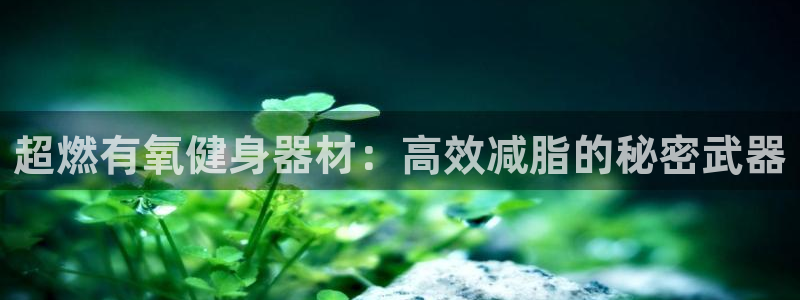 征途国际新能源：超燃有氧健身器材：高效减脂的秘密武器