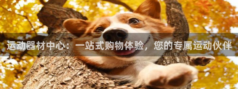 征途国际平台假的吗是真的吗吗：运动器材中心：一站式购物体验，