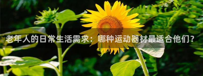 征途国际集团官网首页：老年人的日常生活需求：哪种运动器材最适