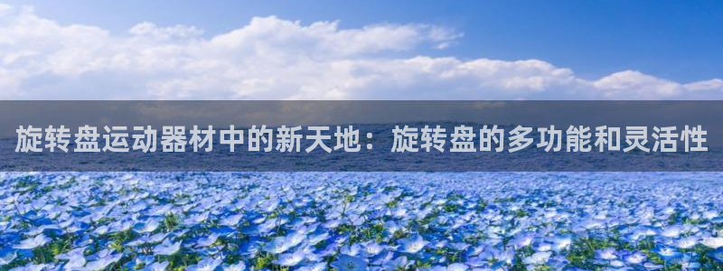 征途国际新能源：旋转盘运动器材中的新天地：旋转盘的多功能和灵