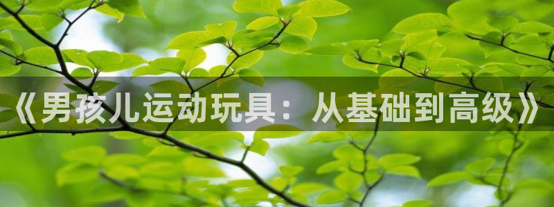 德国征途国际集团：《男孩儿运动玩具：从基础到高级》