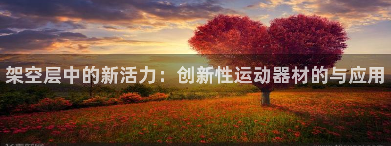 征途国际科技