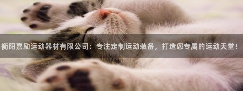 征途国际注册：衡阳嘉励运动器材有限公司：专注定制运动