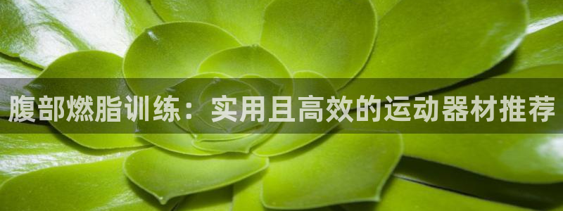 征途国际平台APP：腹部燃脂训练：实用且高效的运动器