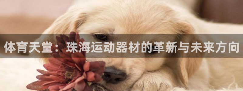 征途国际娱乐网站：体育天堂：珠海运动器材的革新与未来方向