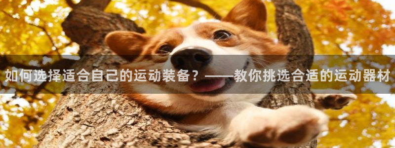 征途国际平台是正规平台吗