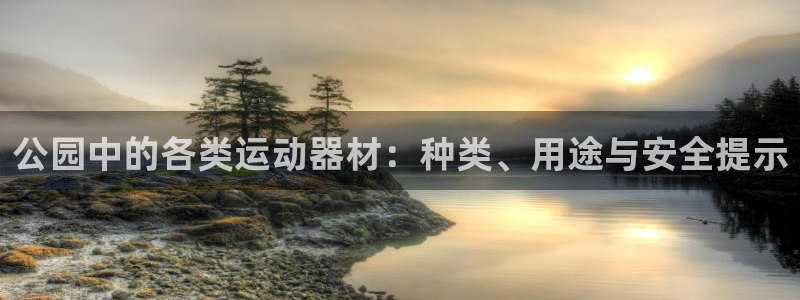 征途国际平台是正规平台吗：公园中的各类运动器材：种类、用途与
