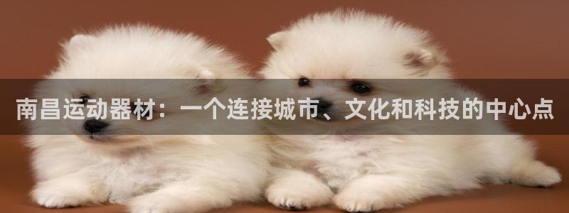 征途国际娱乐是那个系列的台子：南昌运动器材：一个连接城市、文