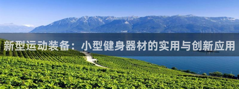 征途国际五金厂：新型运动装备：小型健身器材的实用与创新应用
