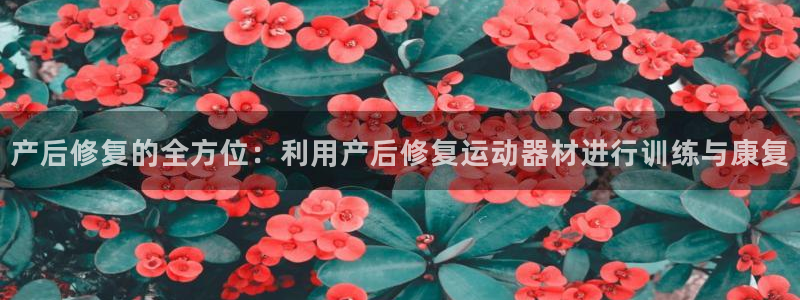 征途国际娱乐是那个系列的台子