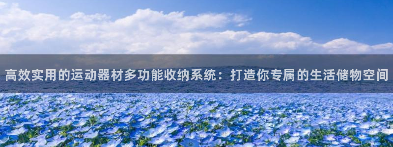 征途国际注册：高效实用的运动器材多功能收纳系统：打造你专属的
