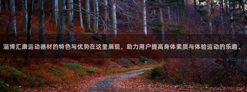 征途国际集团logo