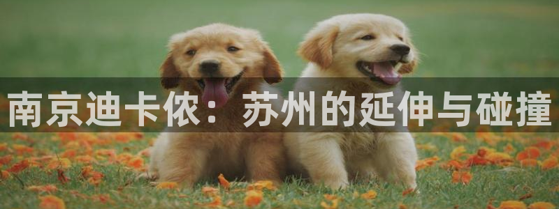 征途国际招商电话号码查询：南京迪卡侬：苏州的延伸与碰撞