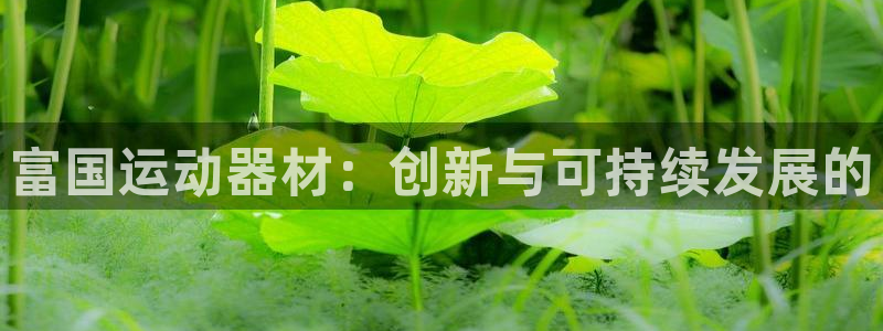 征途国际娱乐40996：富国运动器材：创新与可持续发展的