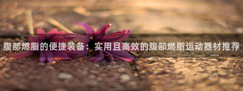 征途国际平台假的吗是真的吗吗：腹部燃脂的便捷装备：实用且高效