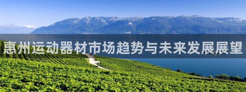 征途国际平台是正规平台吗知乎：惠州运动器材市场趋势与未来发展