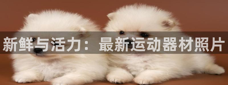 征途国际娱乐代理怎么样：新鲜与活力：最新运动器材照片