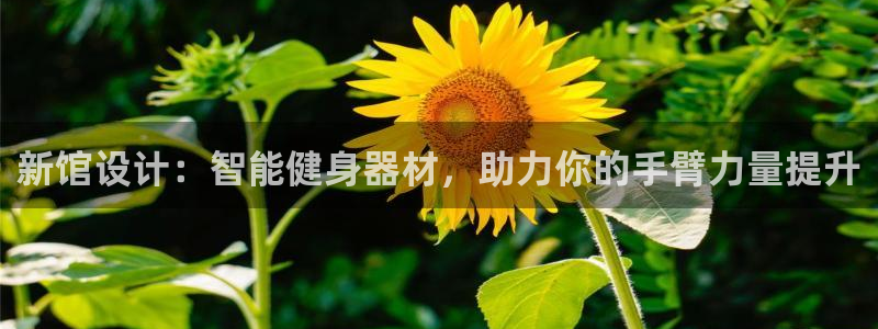 征途国际娱乐代理怎么样：新馆设计：智能健身器材，助力
