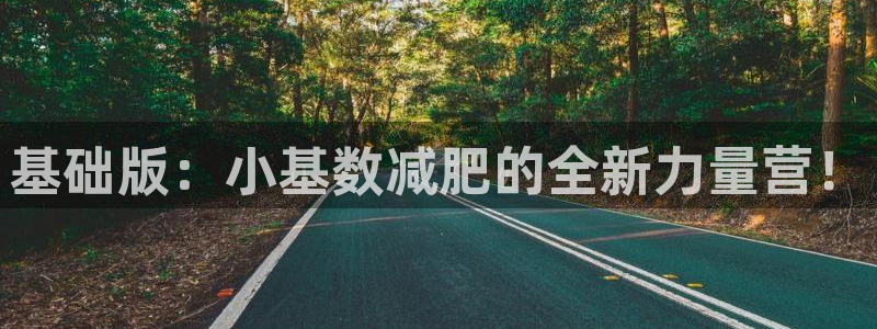 征途国际娱乐首页网站大全：基础版：小基数减肥的全新力量营！