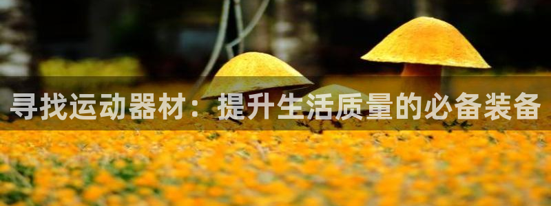 征途国际娱乐是那个系列的台子：寻找运动器材：提升生活质量的必